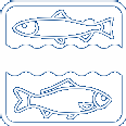 Erzgebirgs-Fisch-Logo